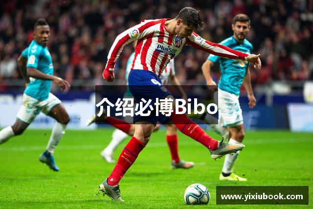 介绍必博Bibo